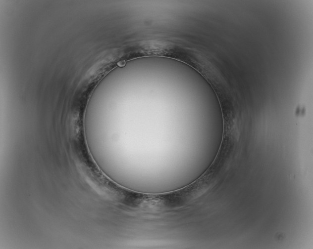 X0000114110599200910051515