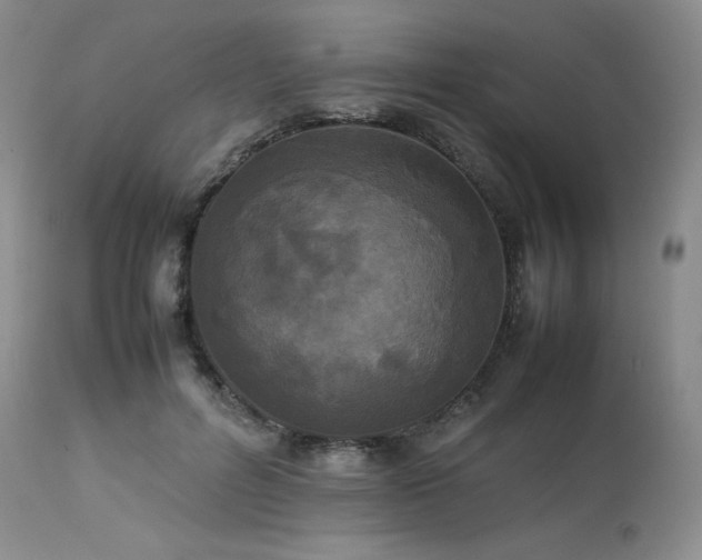 X0000114110600200910051515