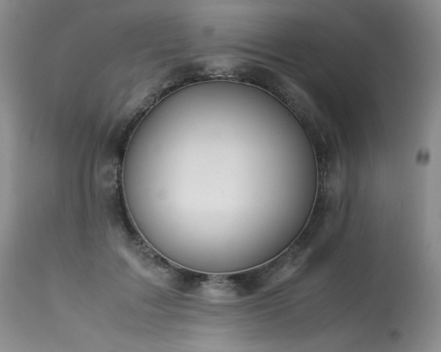 X0000114110603200910051515