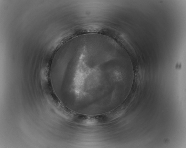 X0000114110604200910051515