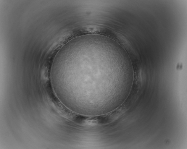 X0000114110606200910051515