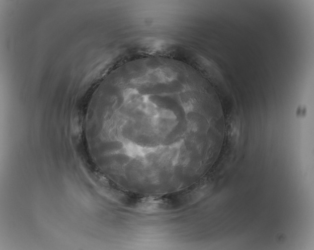 X0000114110607200910051514