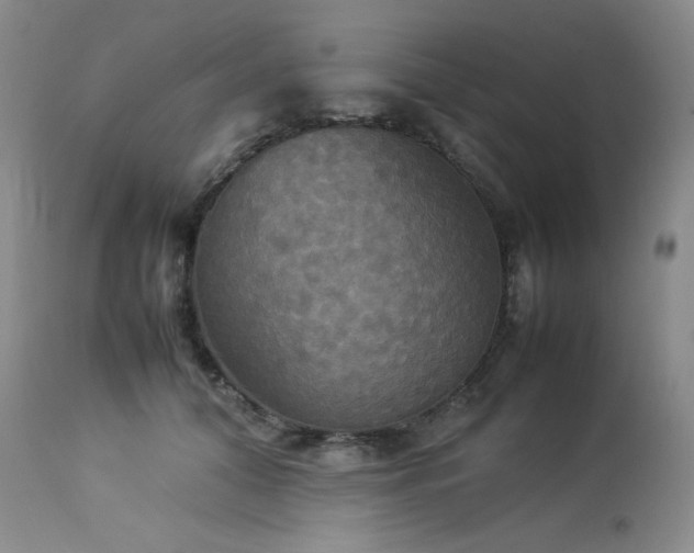 X0000114110608200910051514