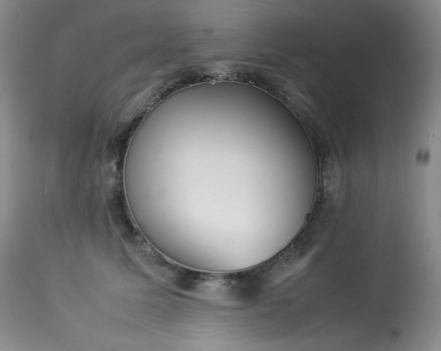 X0000114110611200910051514