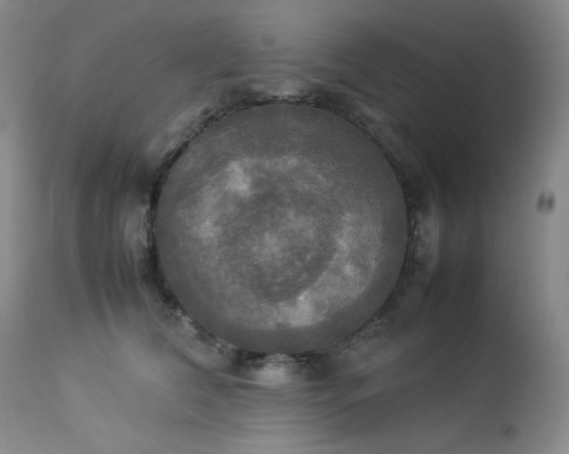X0000114110612200910051514