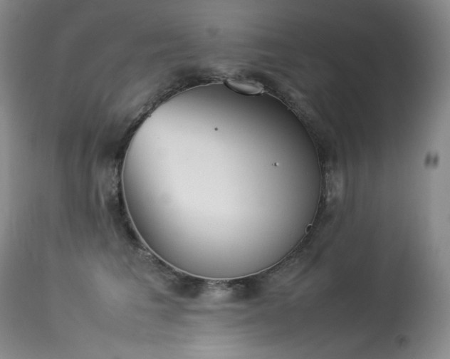 X0000114110613200910051514