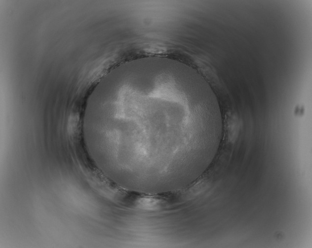 X0000114110614200910051514