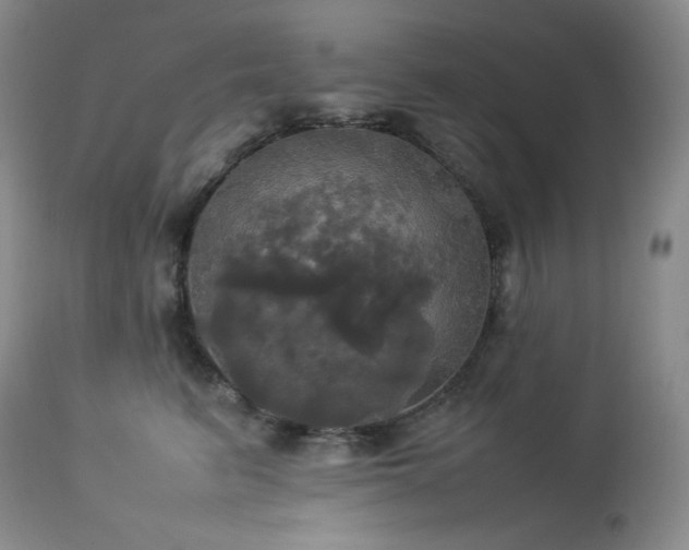 X0000114110615200910051514