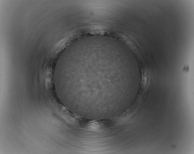 X0000114110616200910051514