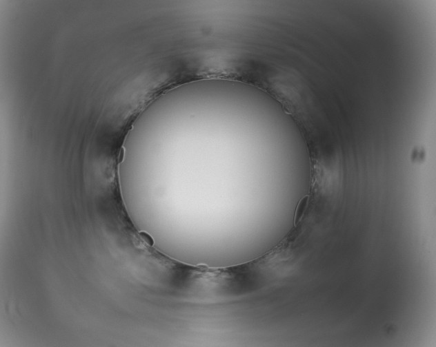 X0000114110621200910051514