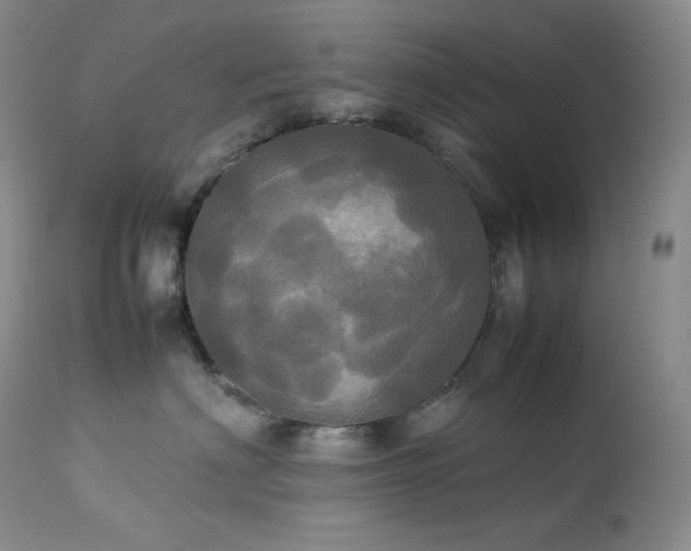 X0000114110622200910051514