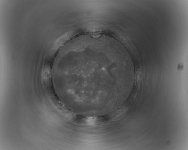 X0000114110623200910051514