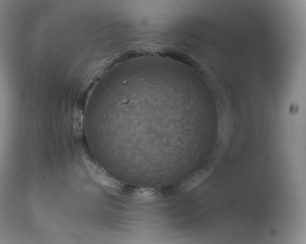 X0000114110624200910051514
