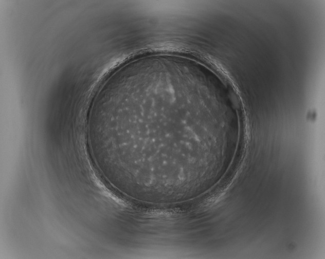 X0000114110625200910051514
