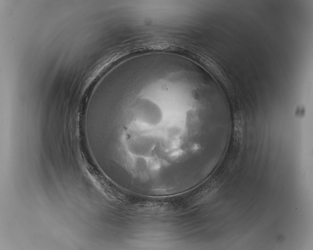 X0000114110626200910051514