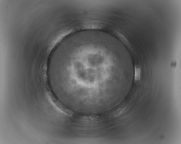 X0000114110627200910051514
