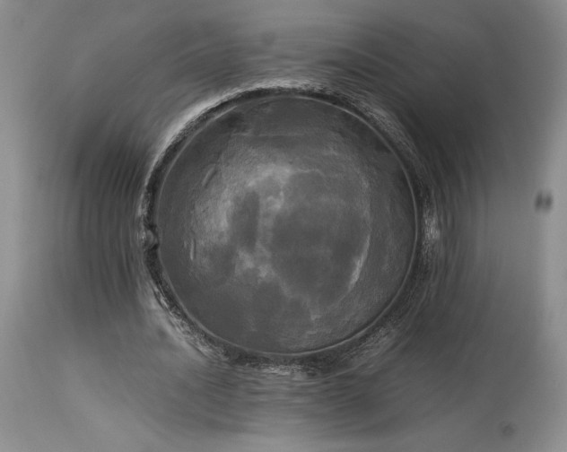 X0000114110628200910051514