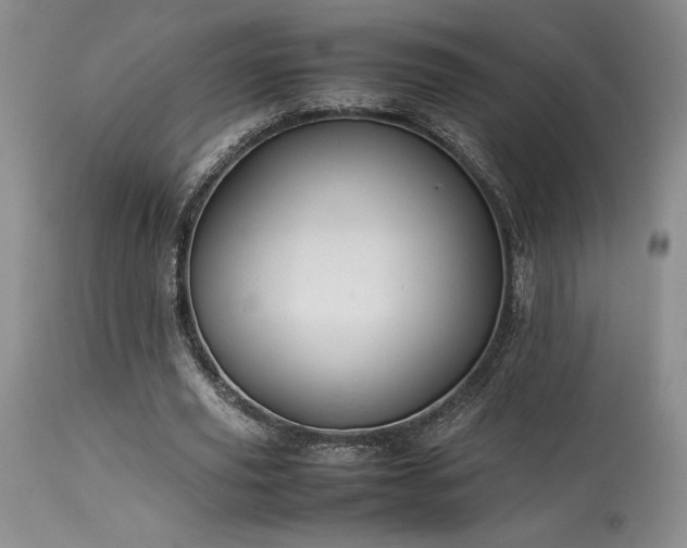 X0000114110629200910051514