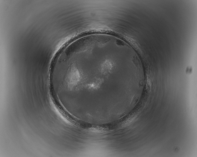 X0000114110630200910051514
