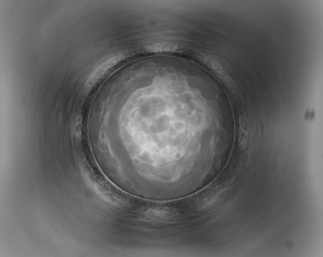 X0000114110631200910051514