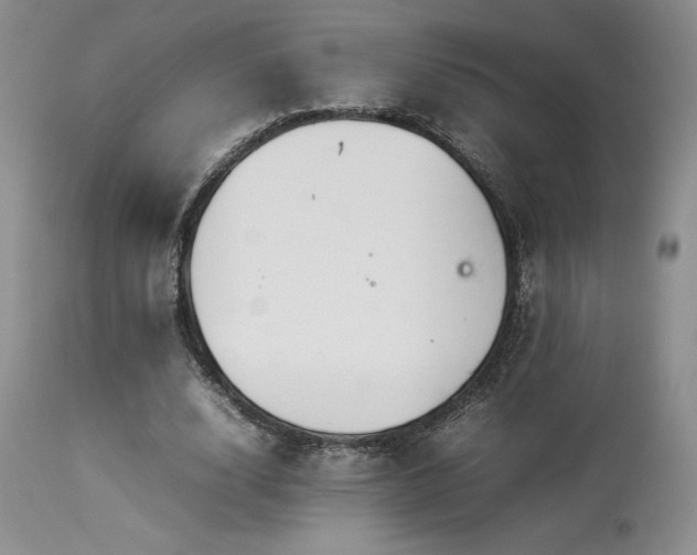 X0000114110632200910051514