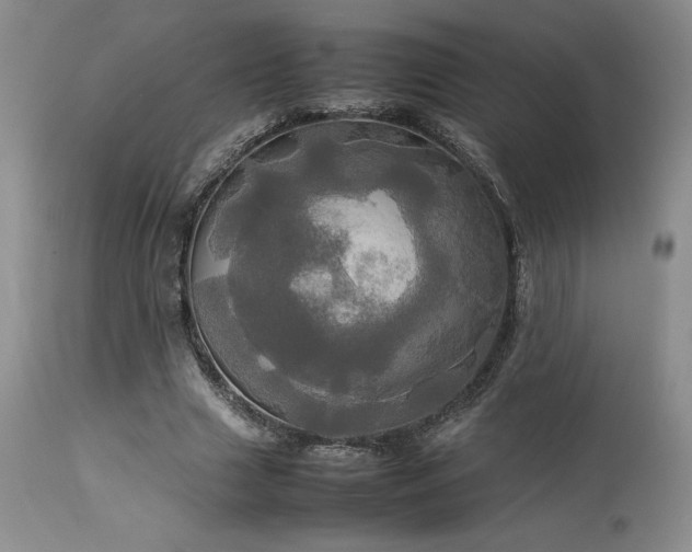 X0000114110633200910051514