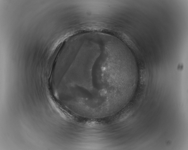 X0000114110634200910051514