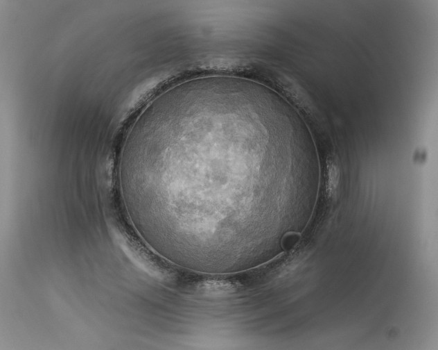 X0000114110636200910051514