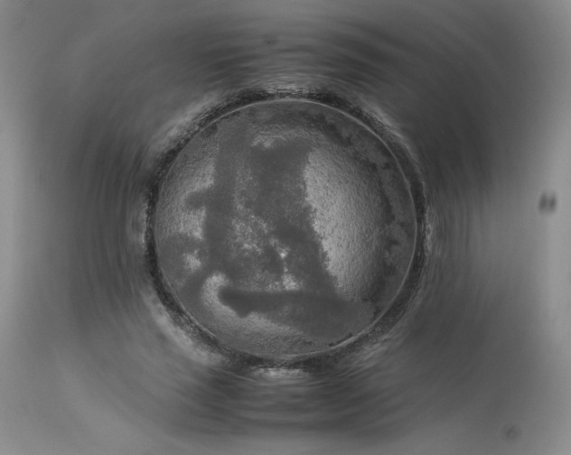 X0000114110637200910051514