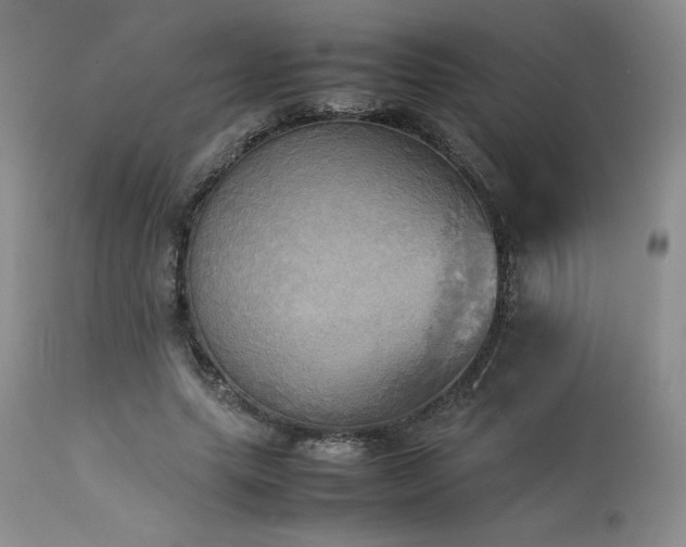 X0000114110639200910051514