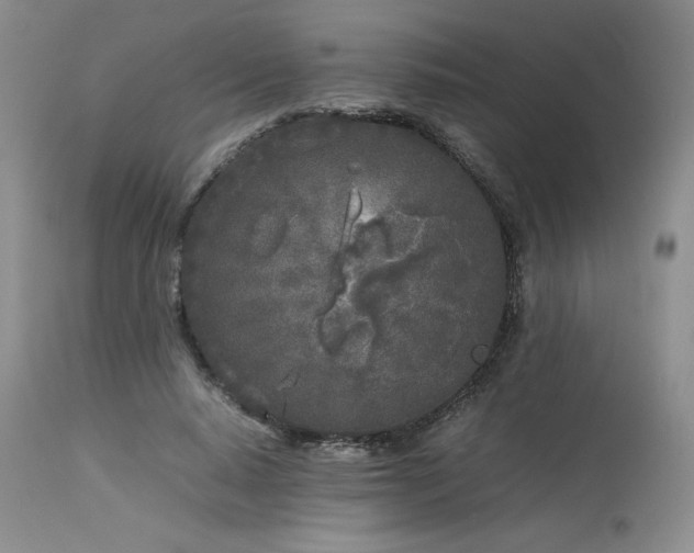 X0000114110640200910051514