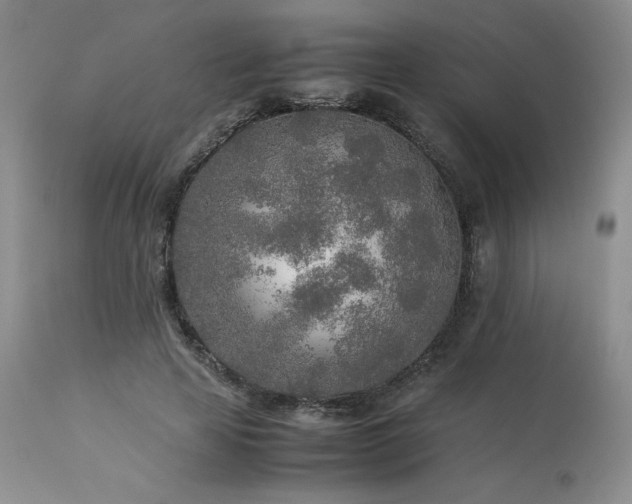 X0000114110641200910051514