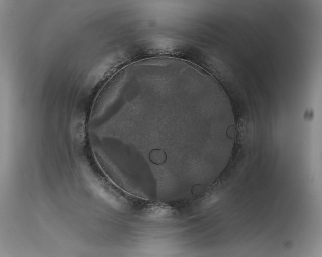 X0000114110642200910051514