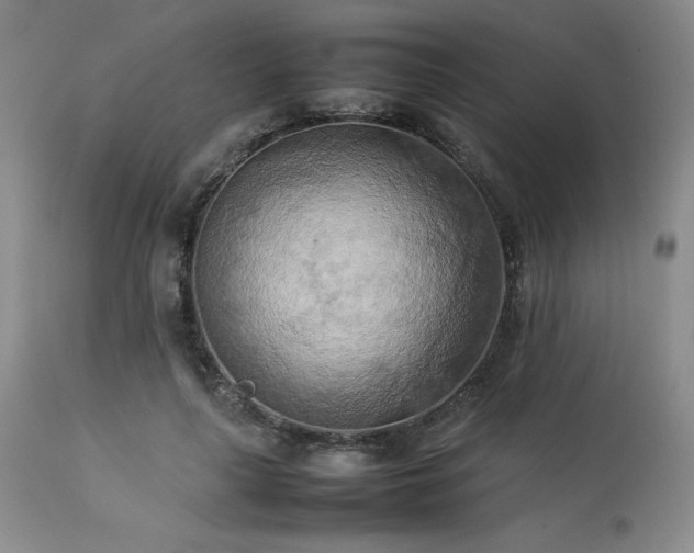 X0000114110643200910051514