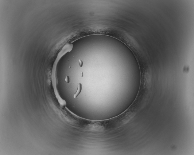 X0000114110644200910051514