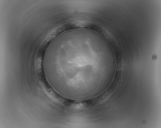 X0000114110646200910051514