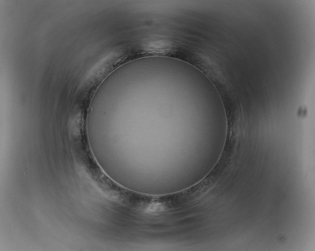 X0000114110647200910051514