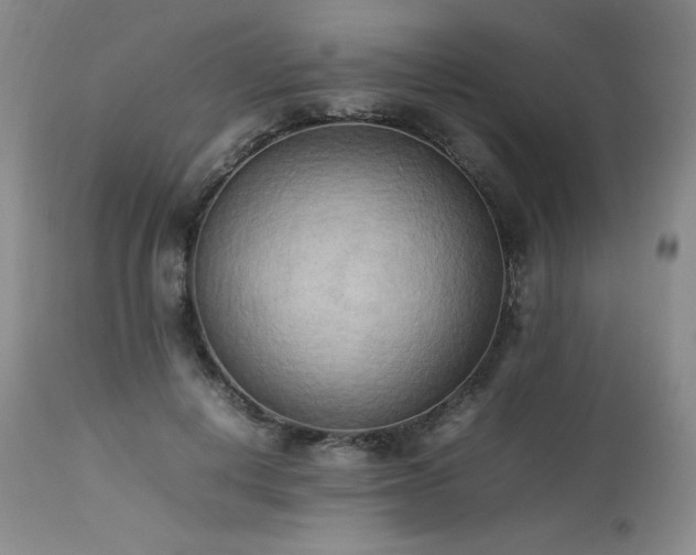 X0000114110648200910051514