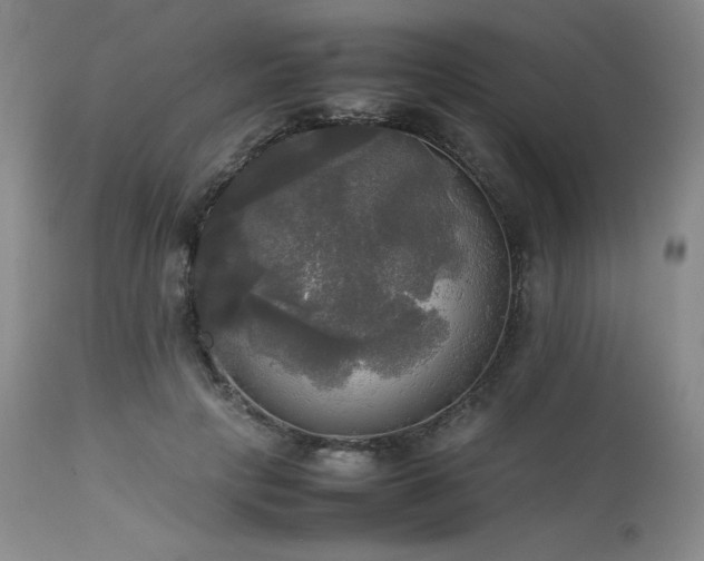 X0000114110649200910051514