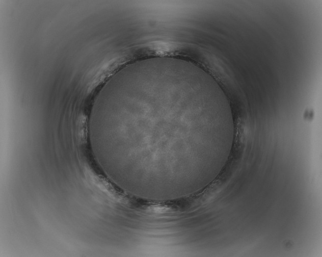X0000114110650200910051514