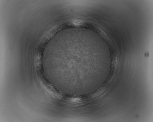 X0000114110651200910051514