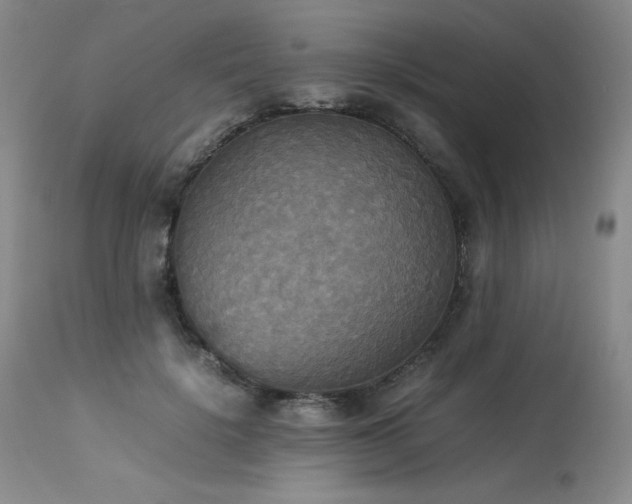 X0000114110652200910051514