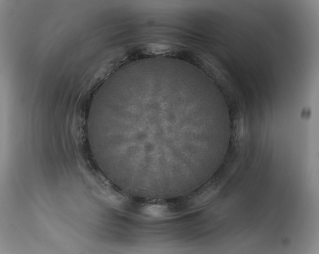 X0000114110653200910051514