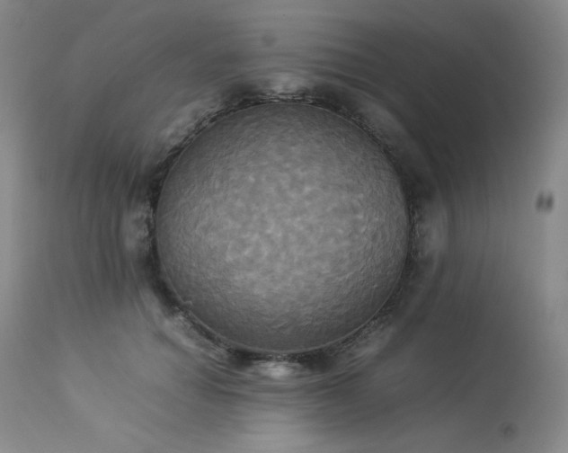 X0000114110654200910051514