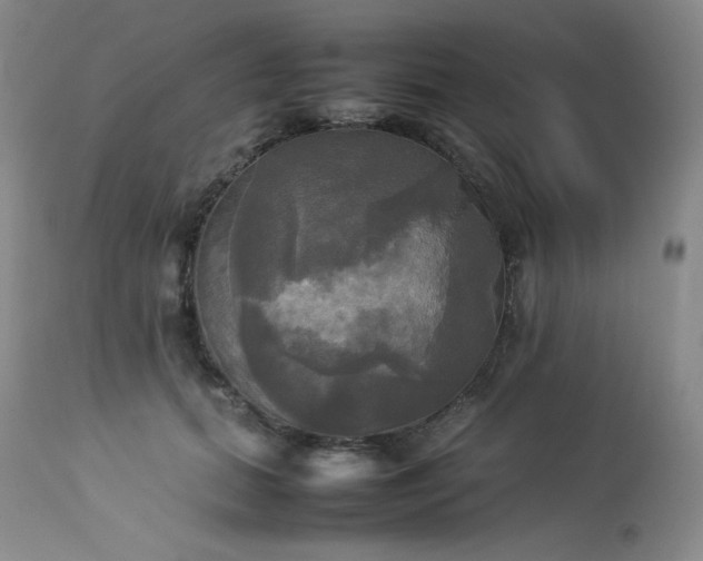 X0000114110655200910051514