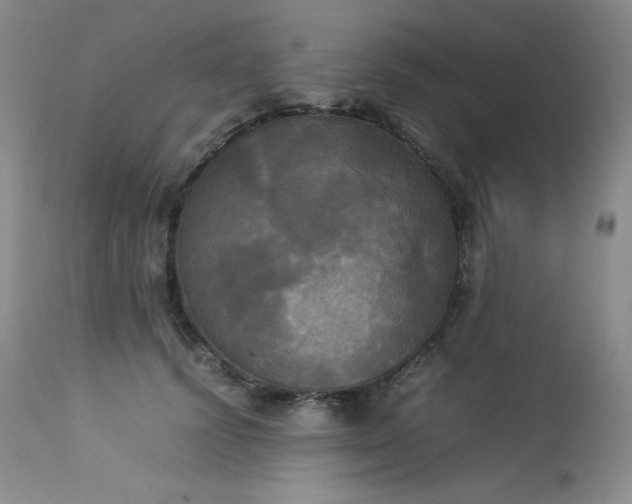 X0000114110656200910051514