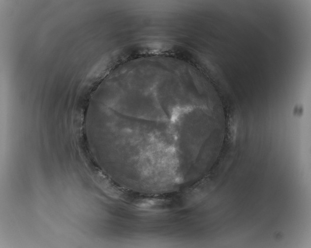 X0000114110657200910051514