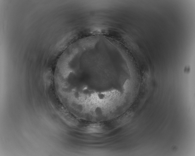 X0000114110659200910051514