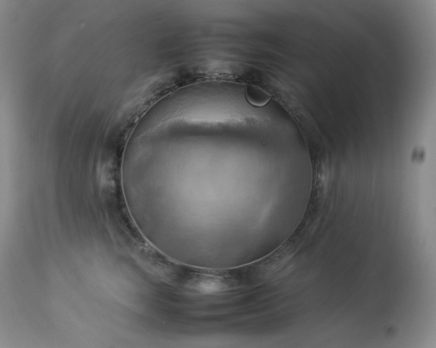 X0000114110663200910051514
