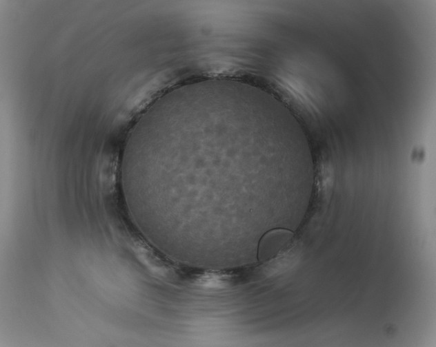 X0000114110664200910051514